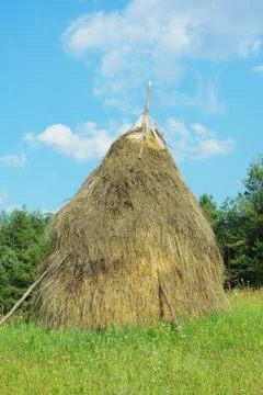 Typical hay mow Stock Photos