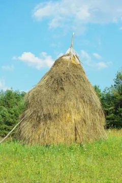 Typical hay mow Stock Photos