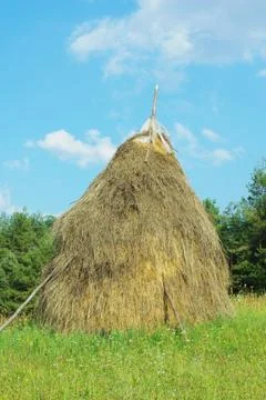 Typical hay mow Stock Photos