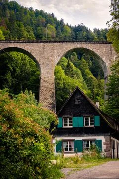 Typical house in the Black Forest, Stock Photos