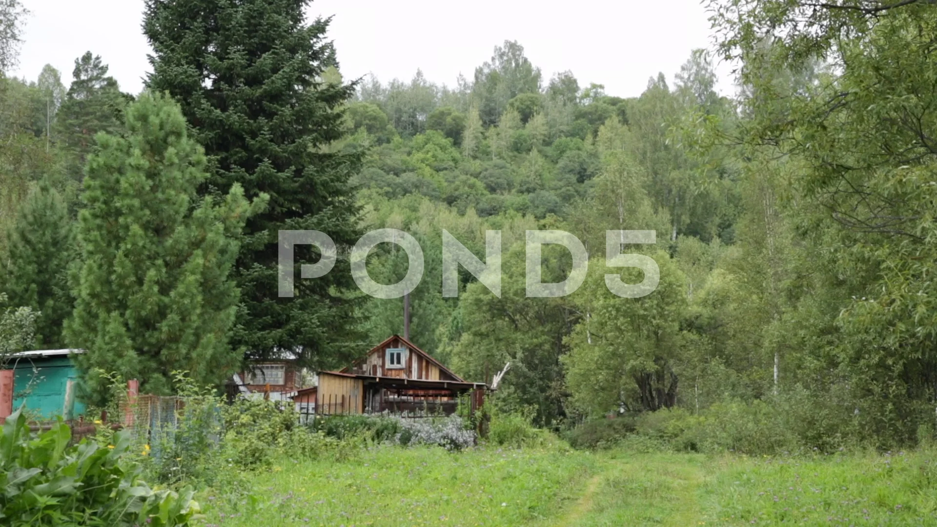 Russian forests and homes 