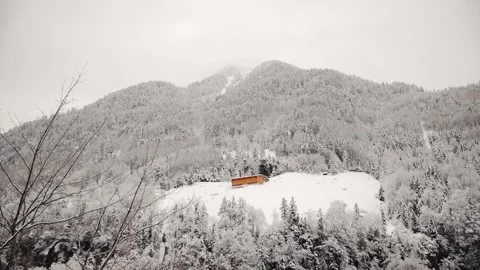 Typical house surrounded by trees in mountains in winter. Christmas wooden house Stock Footage 224537492