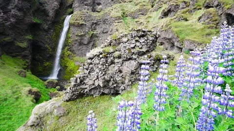 Typical Iceland landscape with waterfall Stock Footage 82307900