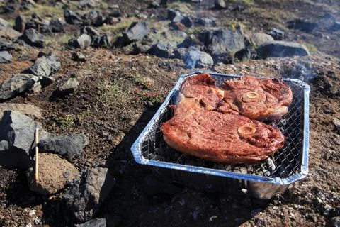 Typical Icelandic lunch with mutton steak Stock Photos