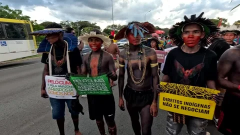 Typical Indigenous Indians from all over Brazil Video stock 306658027