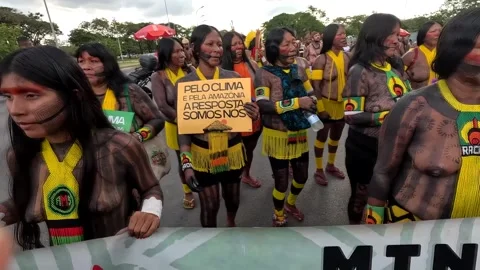 Typical Indigenous Indians from all over Brazil Stock Footage 306658590