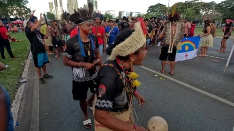 Typical Indigenous Indians from all over Brazil Stock Footage 306659423