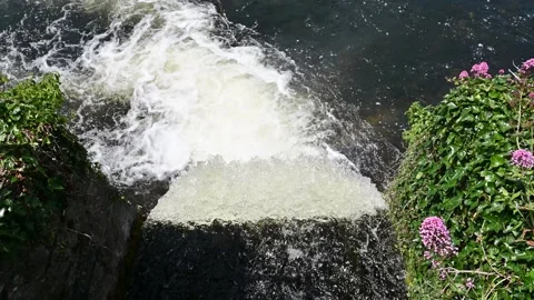 Typical Irish landscape with river Stock Footage 278886567