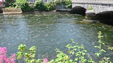 Typical Irish landscape with river Stock Footage 278886754