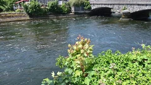 Typical Irish landscape with river Stock Footage 278886786