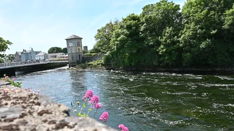 Typical Irish landscape with river Stock Footage 278887155