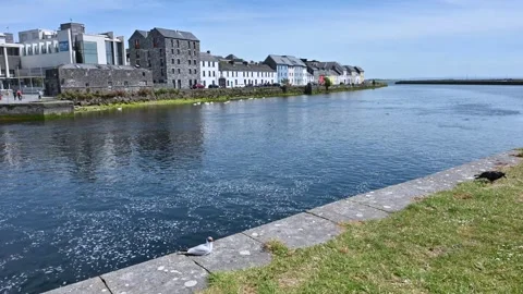 Typical Irish landscape with river Stock Footage 278887966