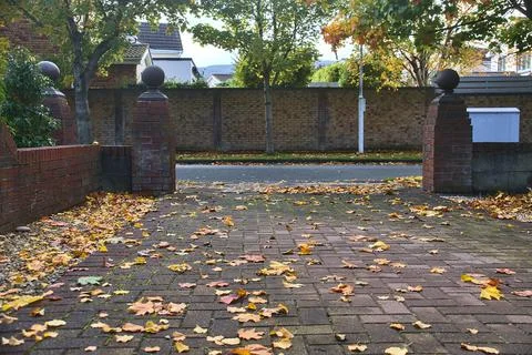 Typical Irish yard with fallen orange leaves on the pavement Stock Photos