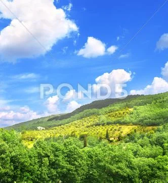 Typical Italian landscape Stock Photos