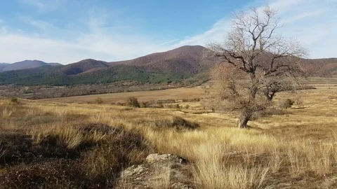 Typical landscape in Bulgaria Vídeos de archivo 97848510