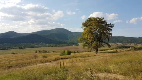 Typical landscape in Bulgaria Stock Photos
