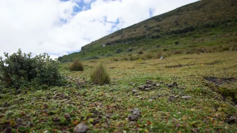 Typical landscape of the equator paramo a country in South America Vídeo Stock 157742679