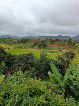 Typical landscape of Madagascar Stock Photos