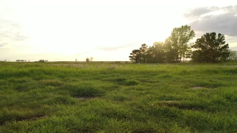 Typical landscape in North Dakota. Spring Summer Seasons Stock Footage 235424820