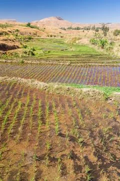 Typical landscape Stock Photos