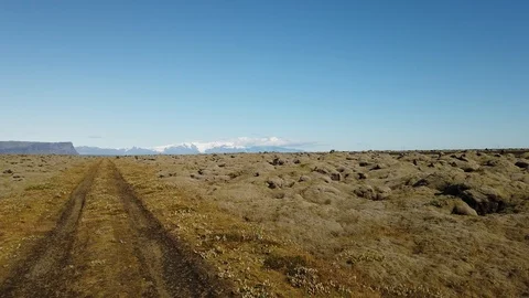 Typical landscape of the spectacular moss fields of Eldhraun moss covering lava  Stock Footage 116062552