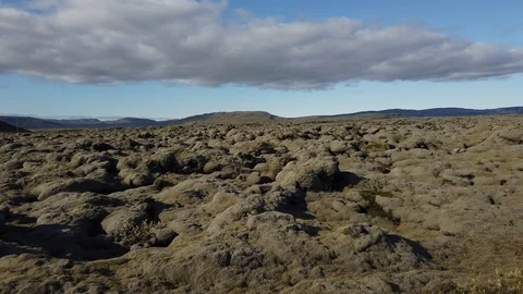 Typical landscape of the spectacular moss fields of Eldhraun moss covering lava  Stock Footage 116063220