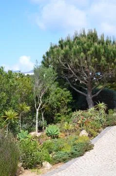 A typical mediterranean garden Stock Photos