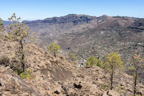 Typical mountain landscape in the central part of the island. Gran Canaria. C Stock-Fotos