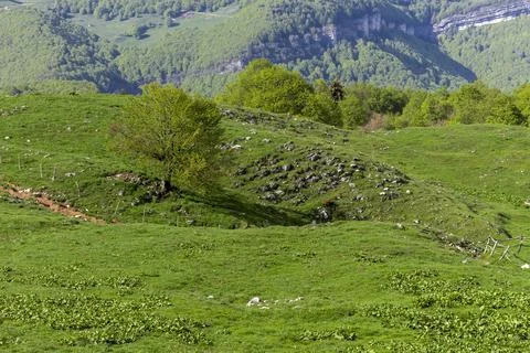 A typical mountain landscape 写真素材