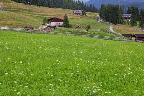 Typical mountain view Stock Photos