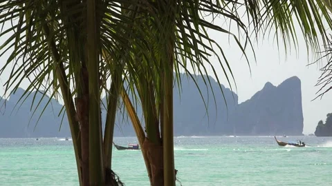 Typical nature scenery of Phi Phi in Thailand Stock Footage 290458512