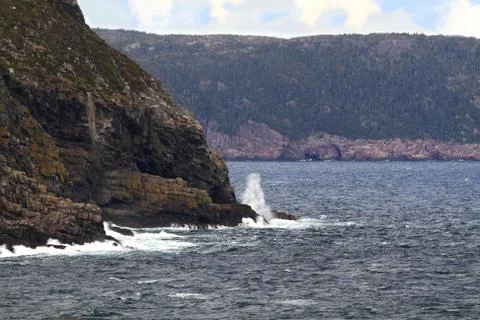 Typical newfoundland coast line Foto stock