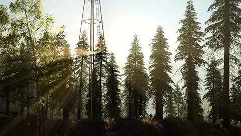 Typical Old Windmill turbine in forest at sunset Stock Illustration