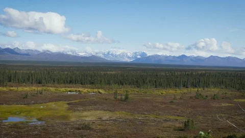 Typical Panorama in Alaska Vídeo Stock 120179526