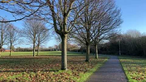 Typical park in England in winter Stock Footage 228245033