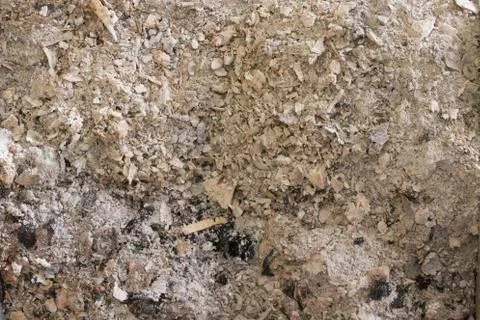 Typical plain grey ash from leafy wood Stock Photos