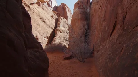 Typical red rock formations in Arches National Park, Utah, USA Stock Footage 287725018