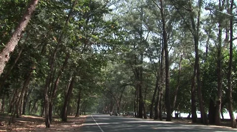 Typical road in a thai rural area, Pattaya, Thailand Stock Footage 43078592