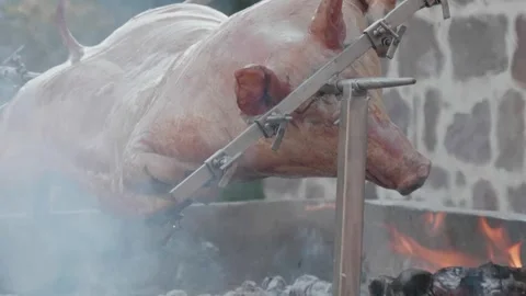 Typical Sardinian food roast pork pig Stock Footage 256285853