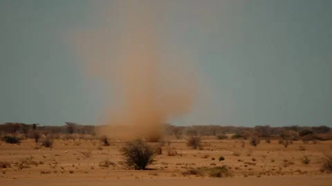 Typical savannah vegetation under hot sun and column of sand whirlwind against Vidéo 303410869
