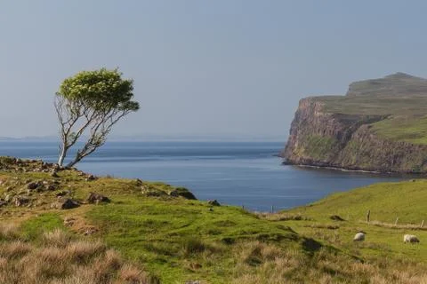 Typical Scottish coast Stock Photos