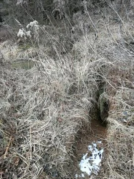 Typical  slidding-down path from the BEAVERS (Serie # 27/39) Stock Photos
