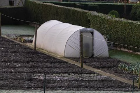 A typical small Belgian kitchen garden with a small plastic greenhouse in it  Foto stock
