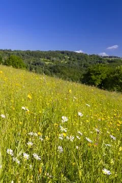 Typical Spring landscape in White Carpathians near Stary Hrozenkov, Souther.. Foto stock