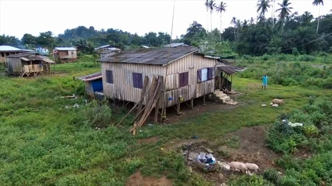 Typical stilts house Stock Footage 91448813