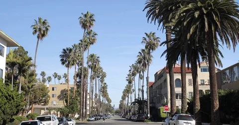Typical street with palm trees in Los Angeles Santa Monica Stock Footage 85407085