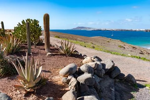 Typical tiny Canarian house with cactus garden on Papagayo beach on the islan Stock Photos