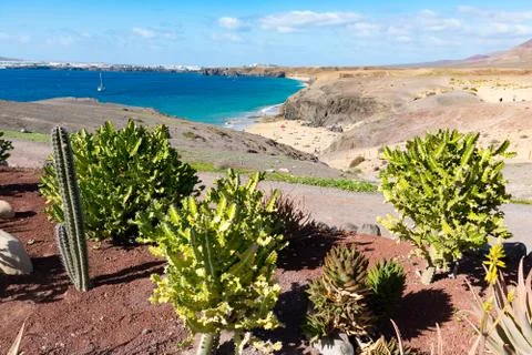 Typical tiny Canarian house with cactus garden on Papagayo beach on the islan Stock Photos