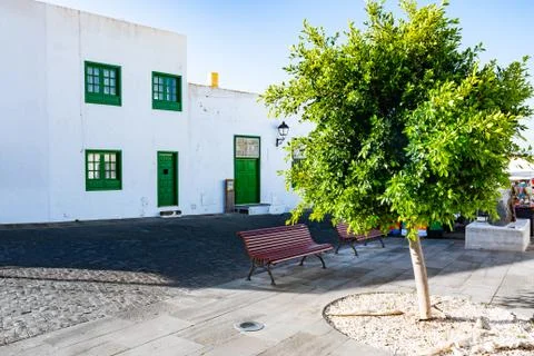 Typical tiny Canarian house with cactus garden and green doors or windows on  Stock Photos