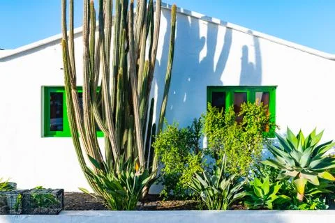 Typical tiny Canarian house with cactus garden and green doors or windows on  Stock Photos